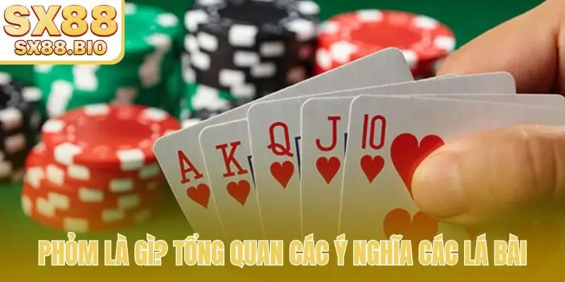 Phỏm là gì? Tổng quan các ý nghĩa các lá bài